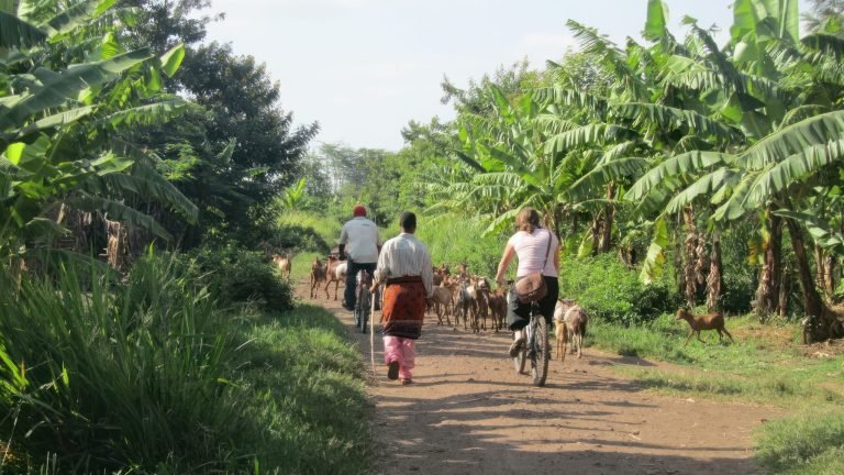 Mto wa Mbu Village Tour