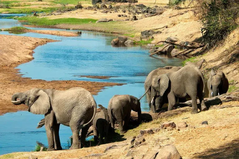Ruaha National Park