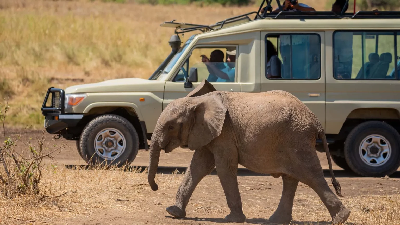 8 Days Tanzania Budget Safari